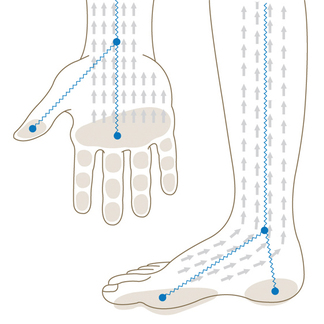 BIA Tradicional vs Inbody 3